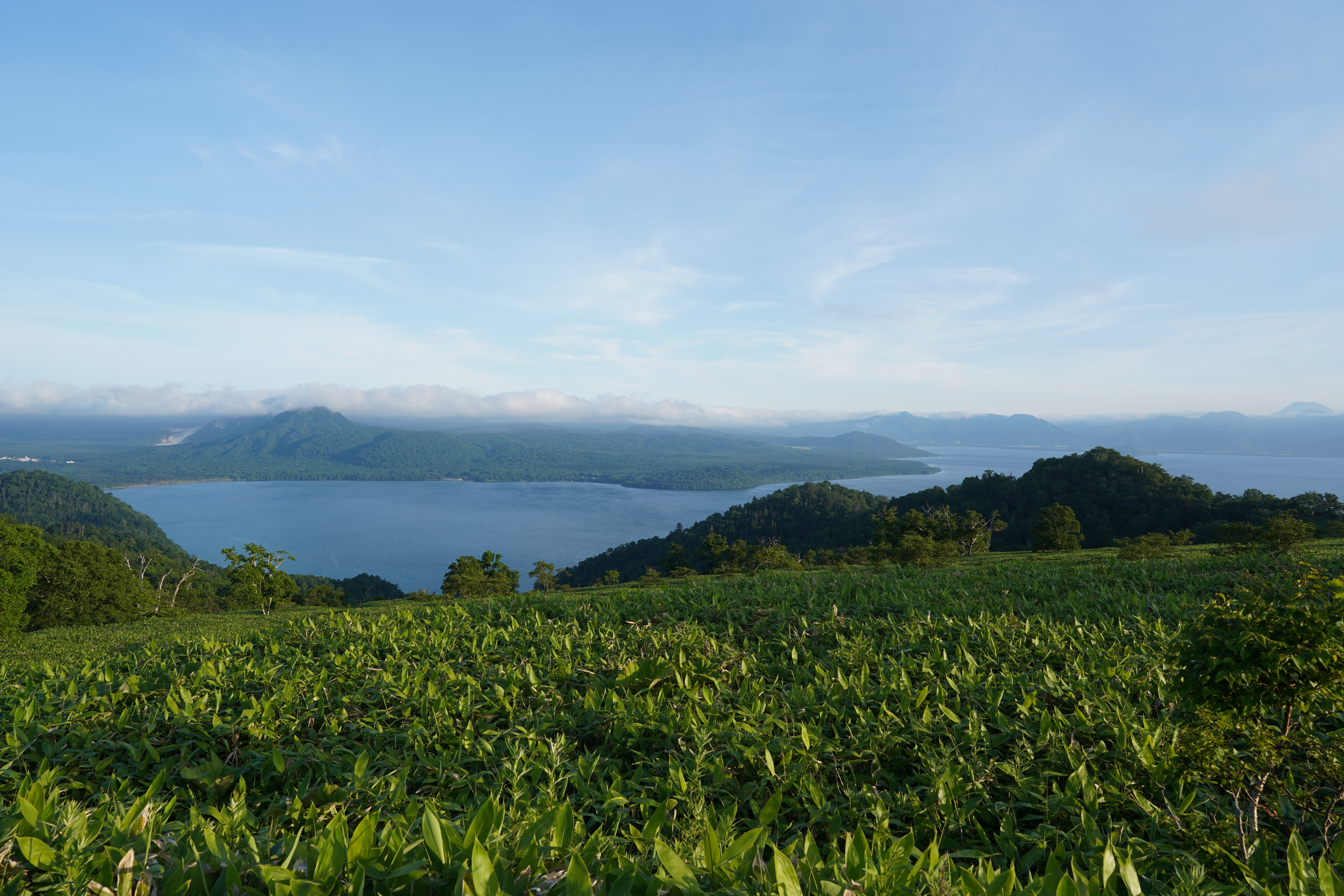 Wide angle shot of mountain and sea