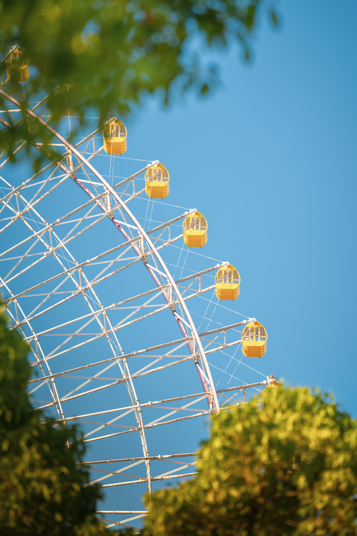 Glimpse of the yellow Tempozan Ferris Wheel through the trees on a clear day