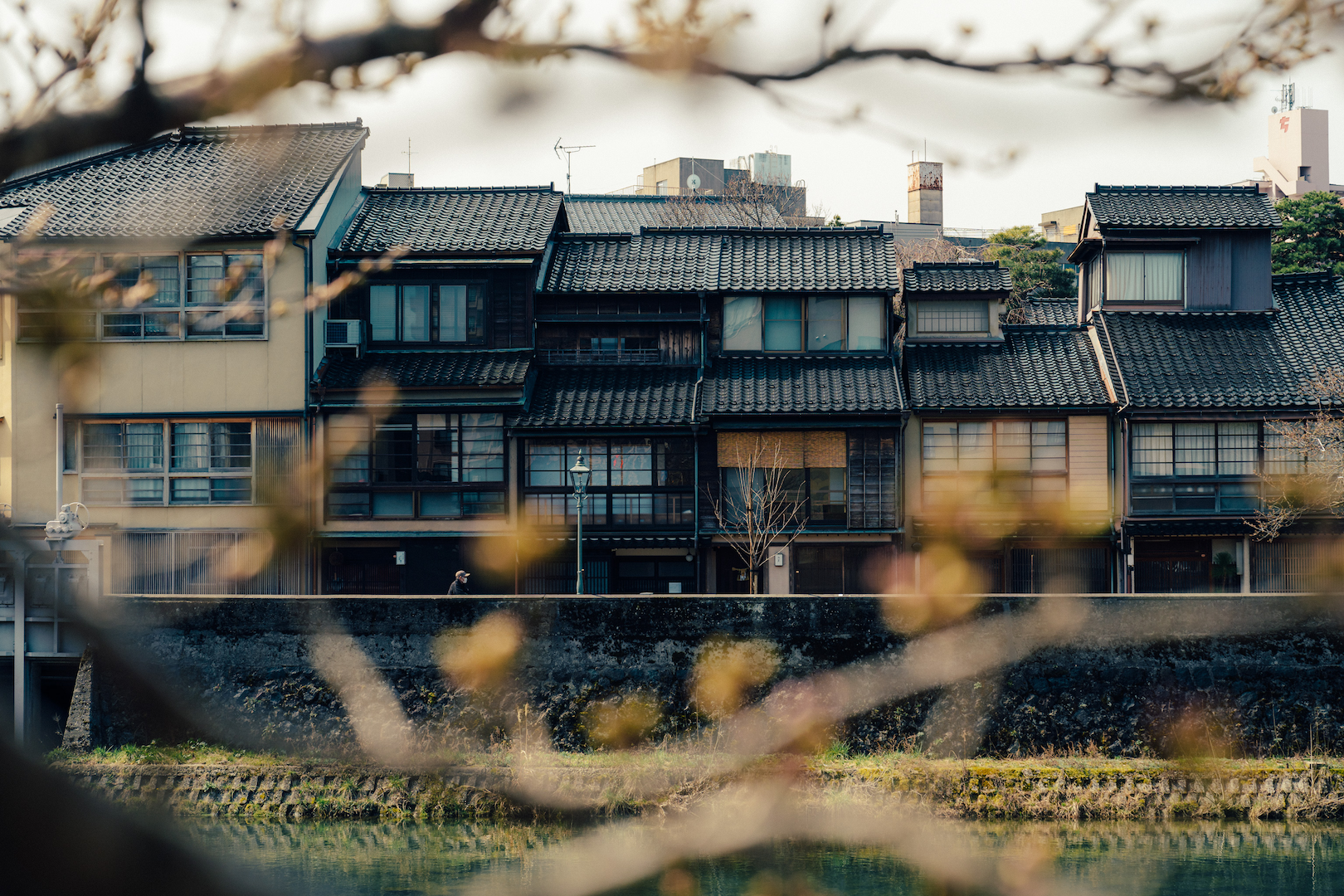 Row of Japanese traditional houses in the background with blurred branches in the foreground