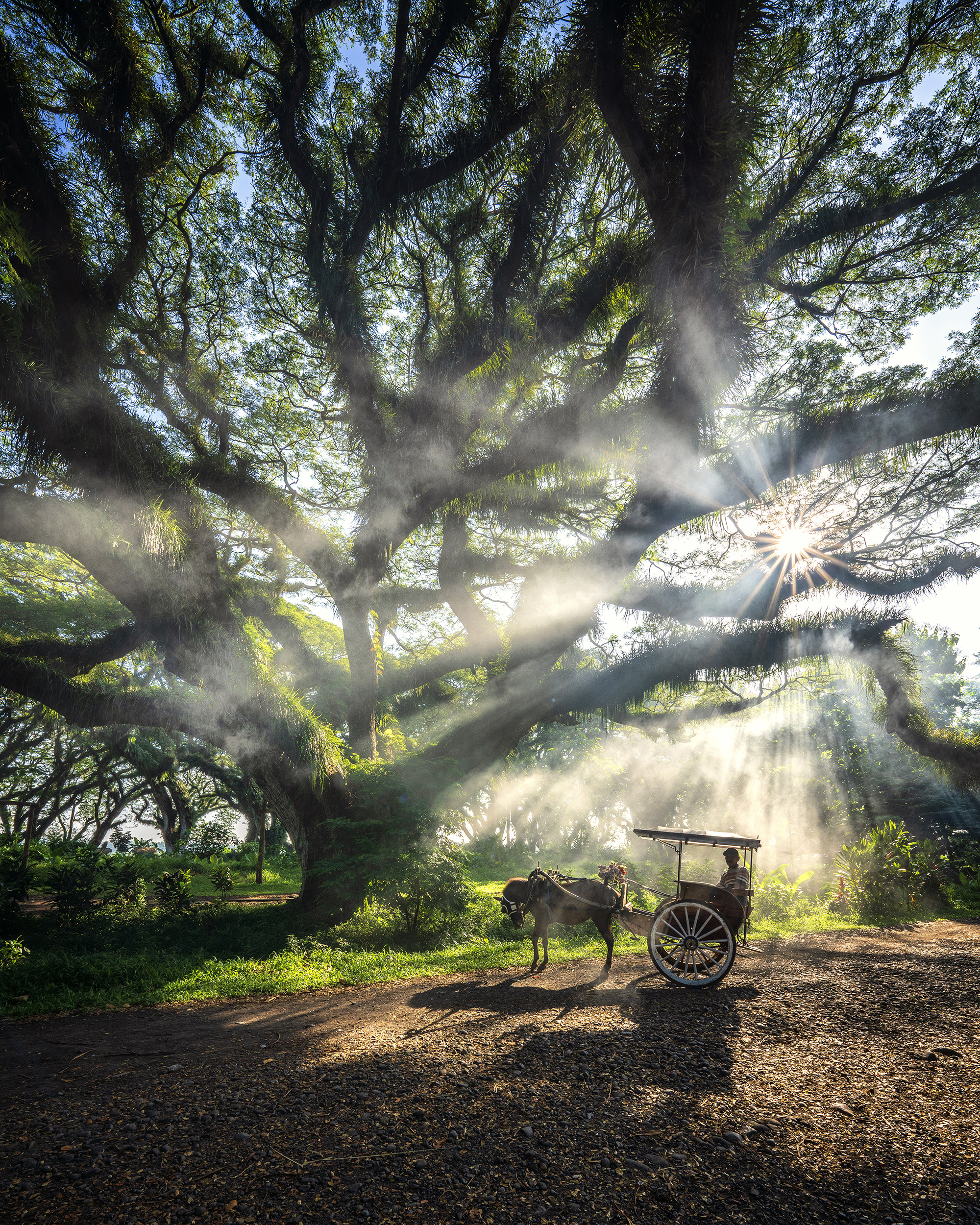 Started as a hobby, Erick is now a reputable Landscape Photographer.